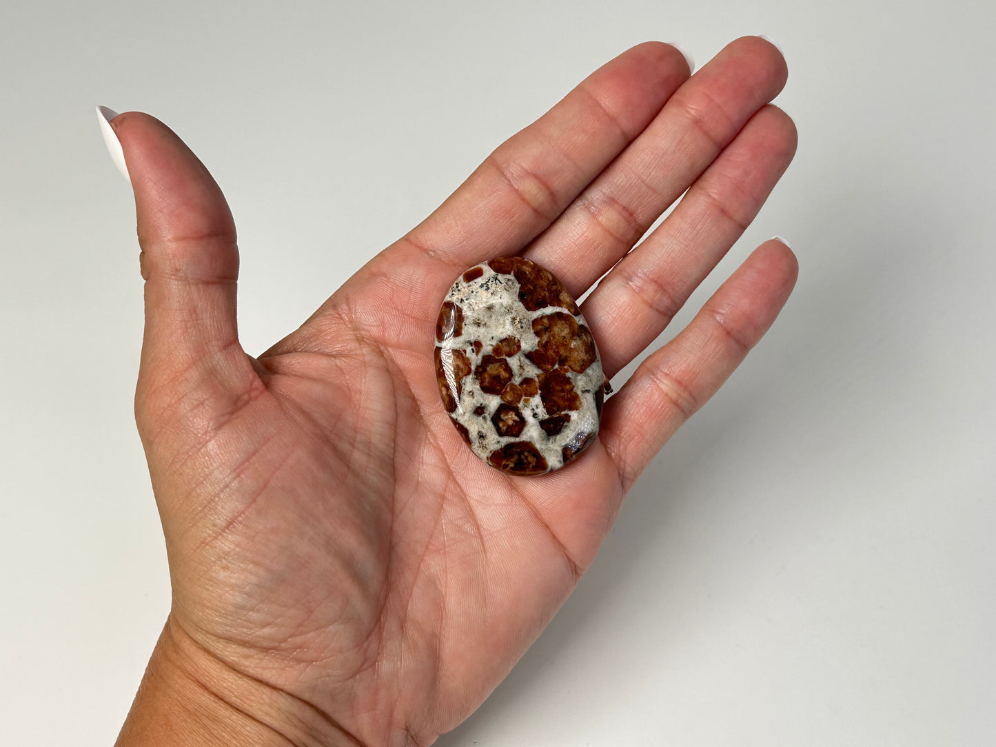 Garnet in Wollastonite (1.7", 44mm)