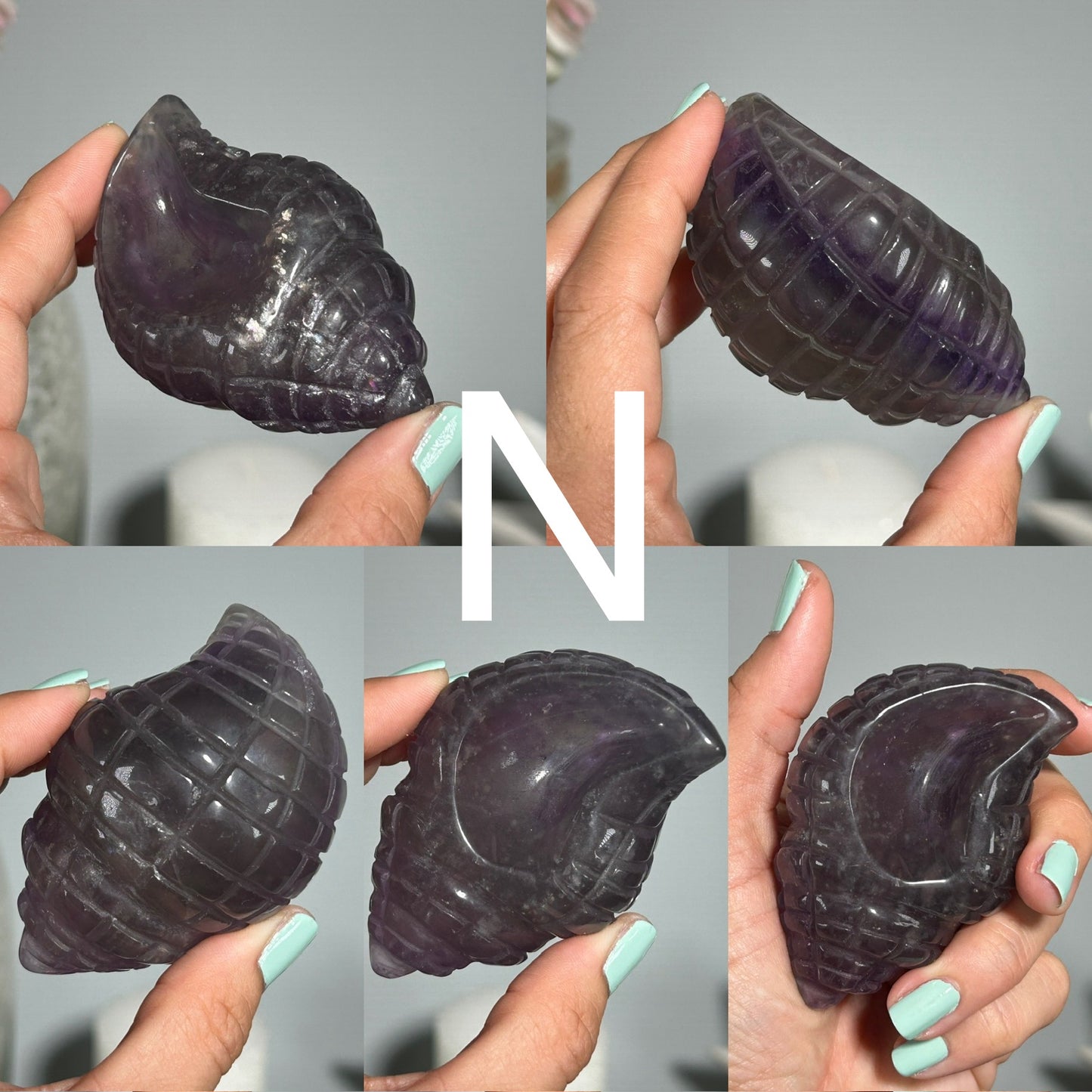 Fluorite Seashell (Clearance)
