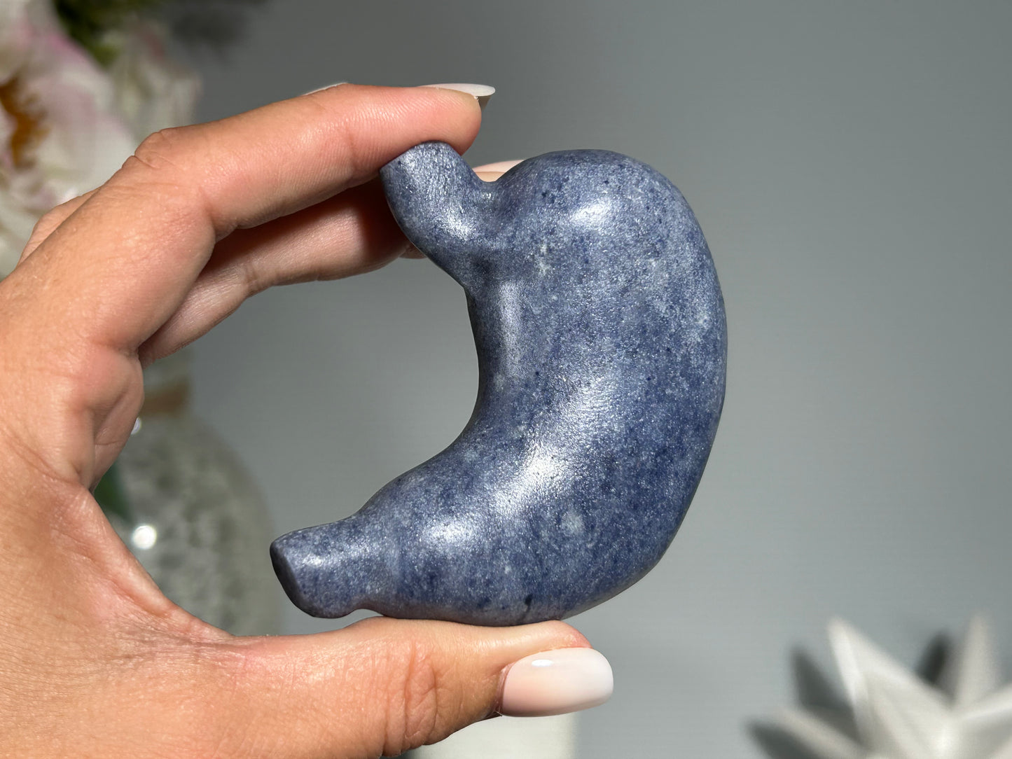 Blue Quartz Stomach (2.7", 69mm)