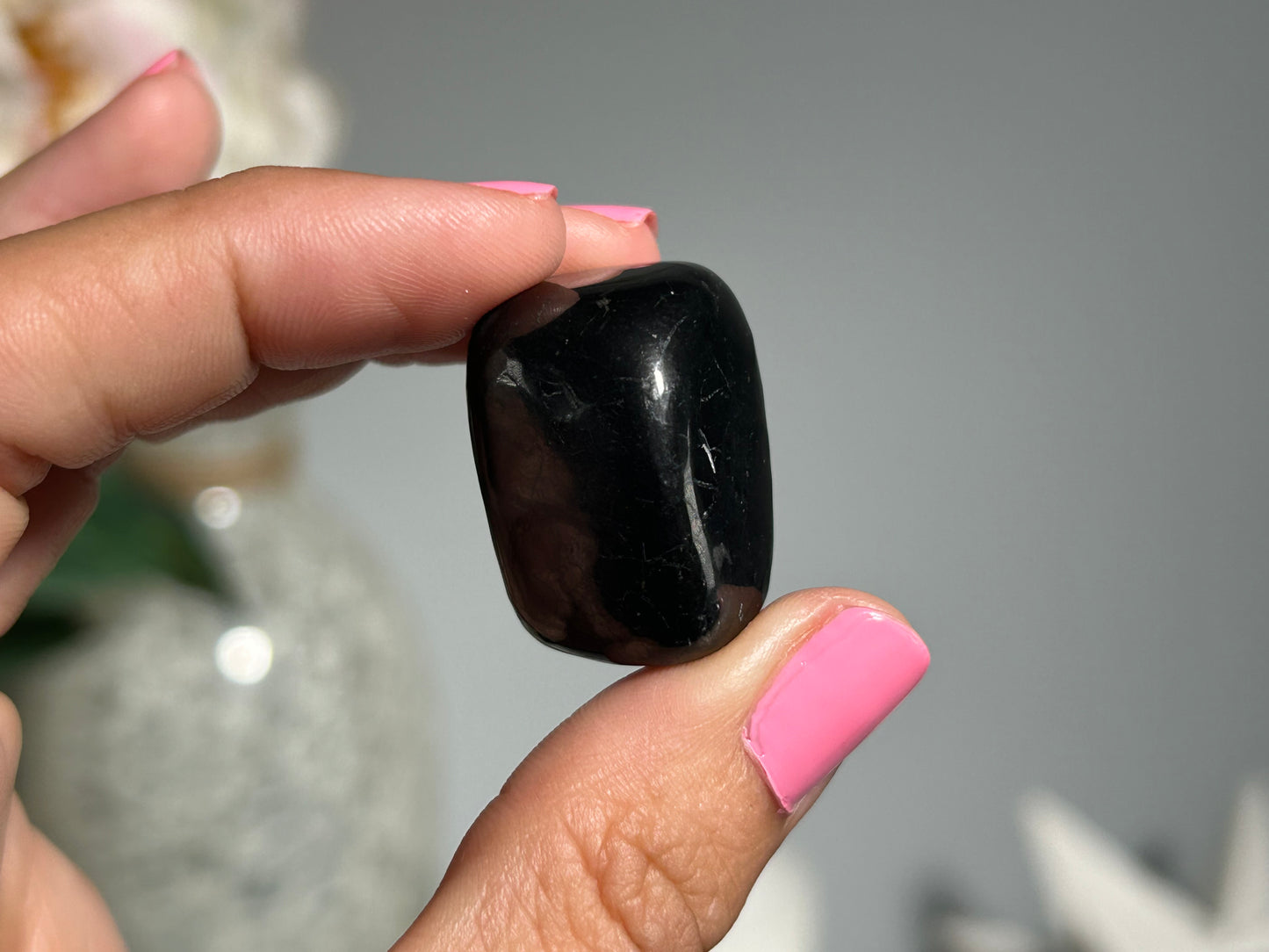 2pc Tumbled Shungite Large