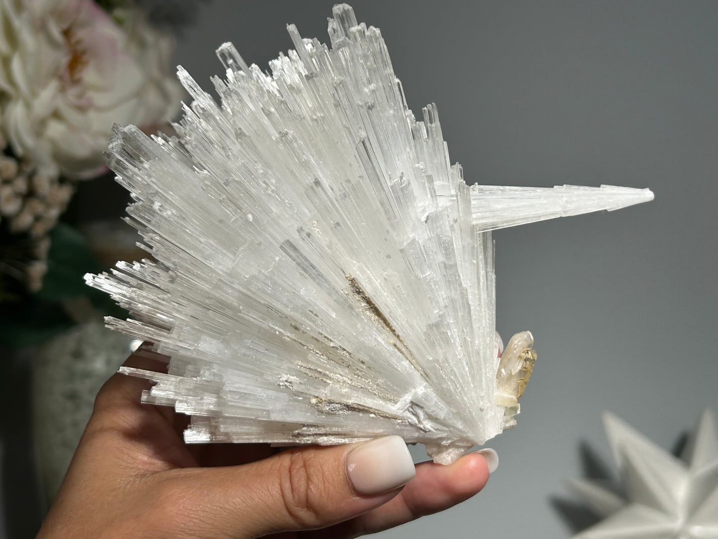 Natural Scolecite with Stilbite Cluster (4.9", 124mm)