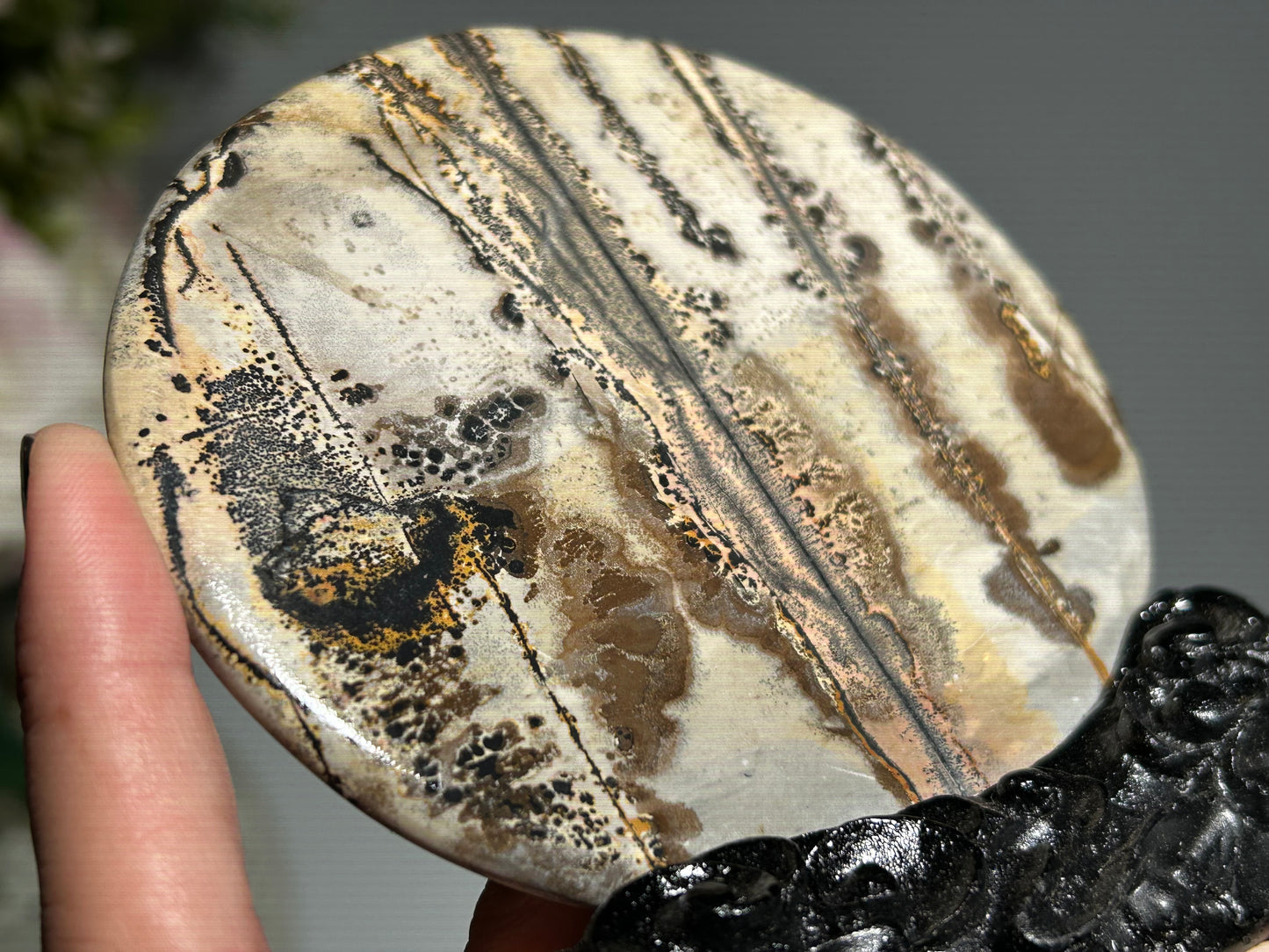 Picture Jasper Slice #234