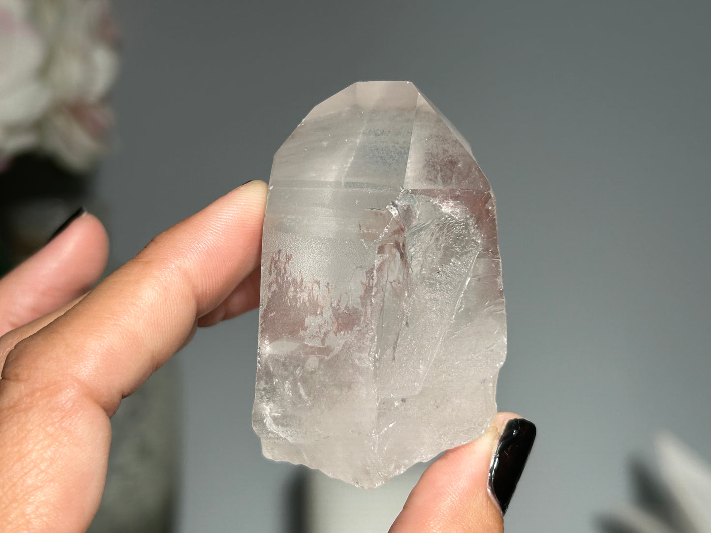 Lemurian Seed (2.3”, 59mm)