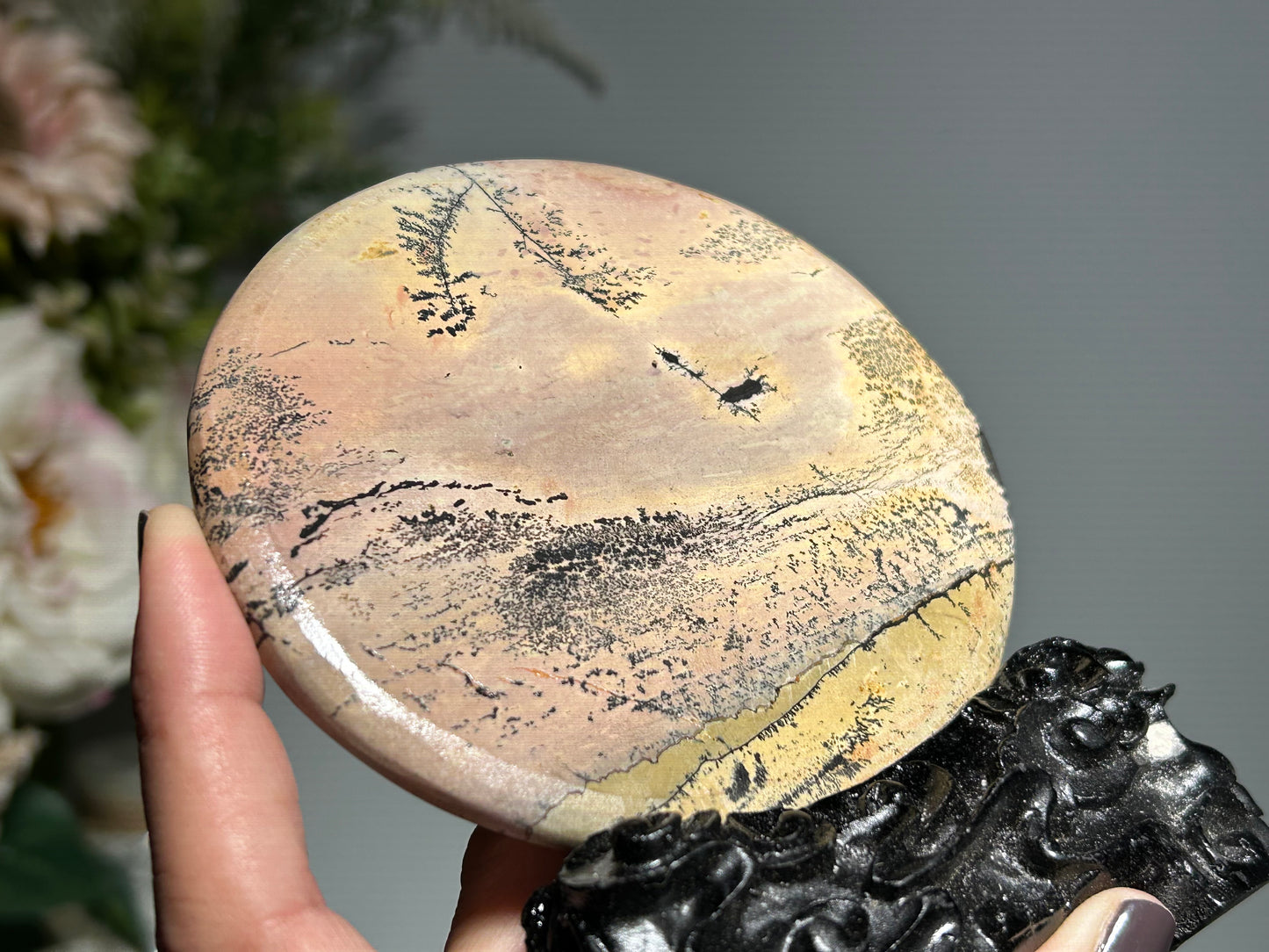 Picture Jasper Slice #280