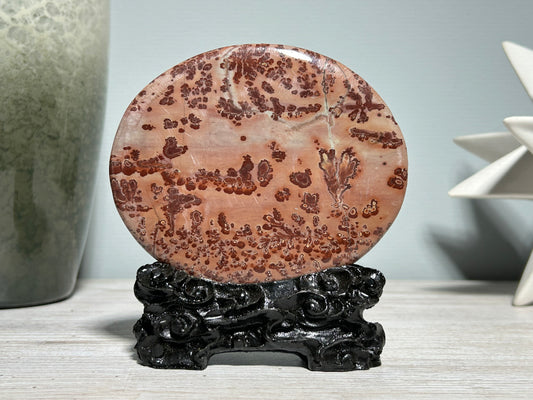 Picture Jasper Slice #255