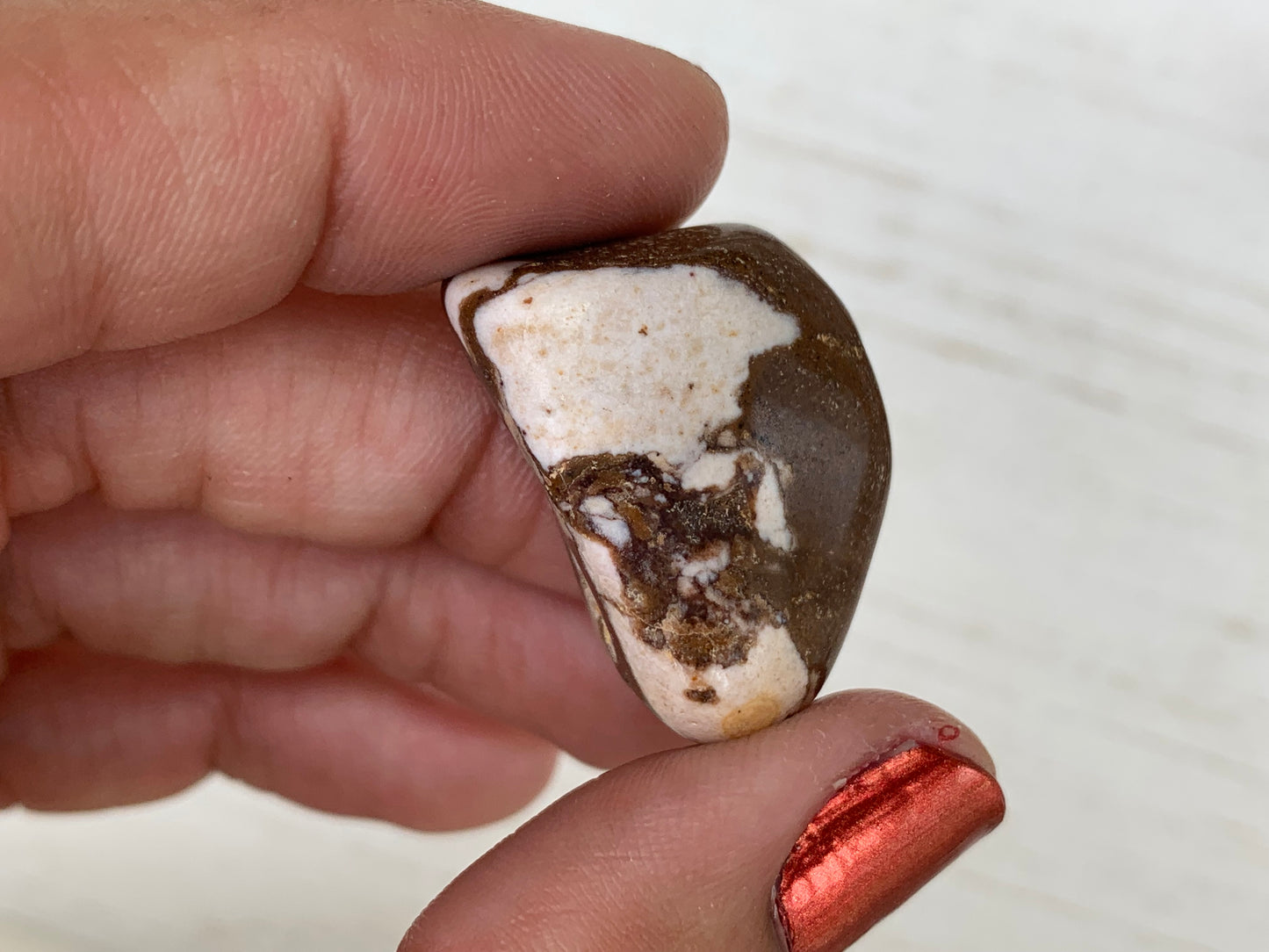 2pc Tumbled Brown Zebra Jasper Small