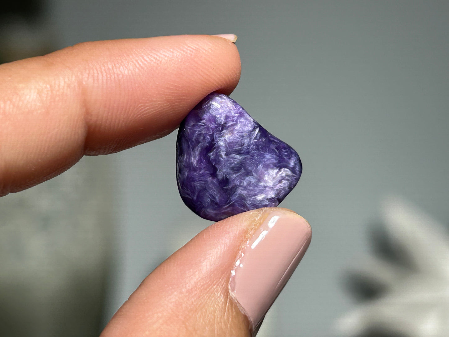 2pc Charoite Chips