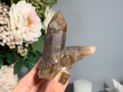 Congo Smoky Citrine Cluster (3.5", 89mm)
