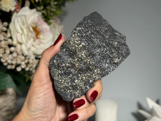 Pyrite on Shungite (3.9", 99mm)