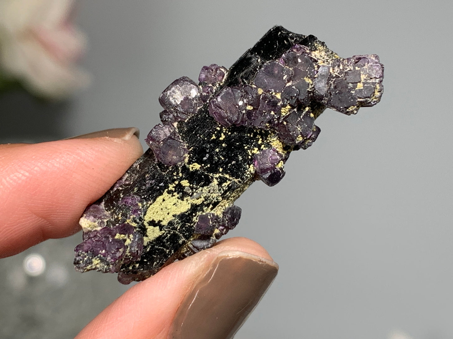 Natural Black Tourmaline with Fluorite Flowers (1.5", 38mm)