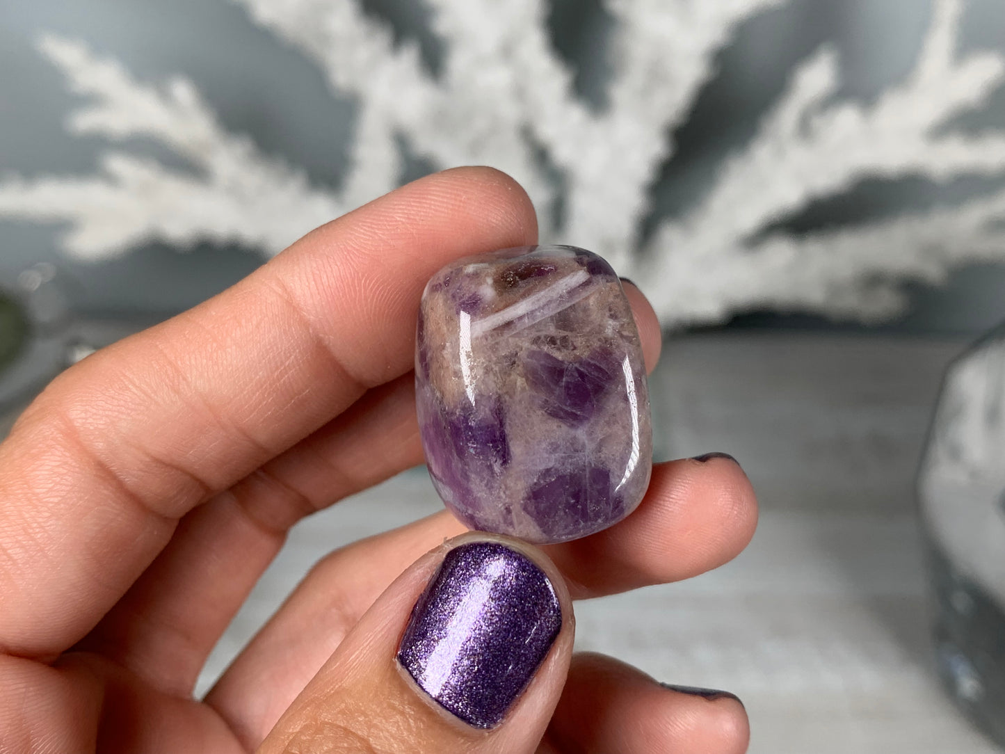 Tumbled Dog Tooth Amethyst Large