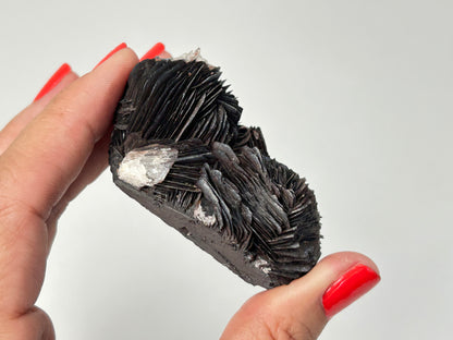 Specularite (2.4", 60mm)