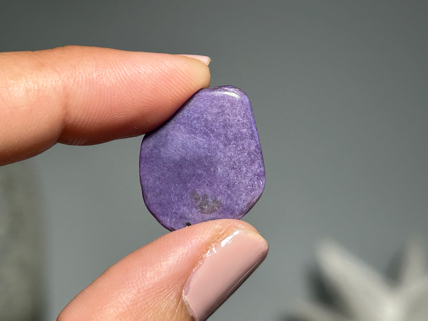 2pc Charoite Chips