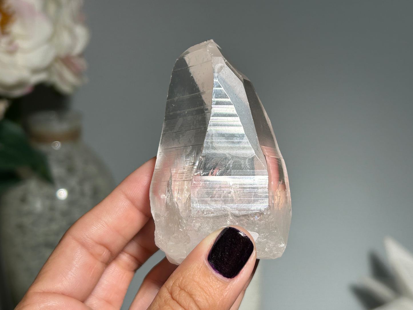 Lemurian Seed (2.75”, 70mm)