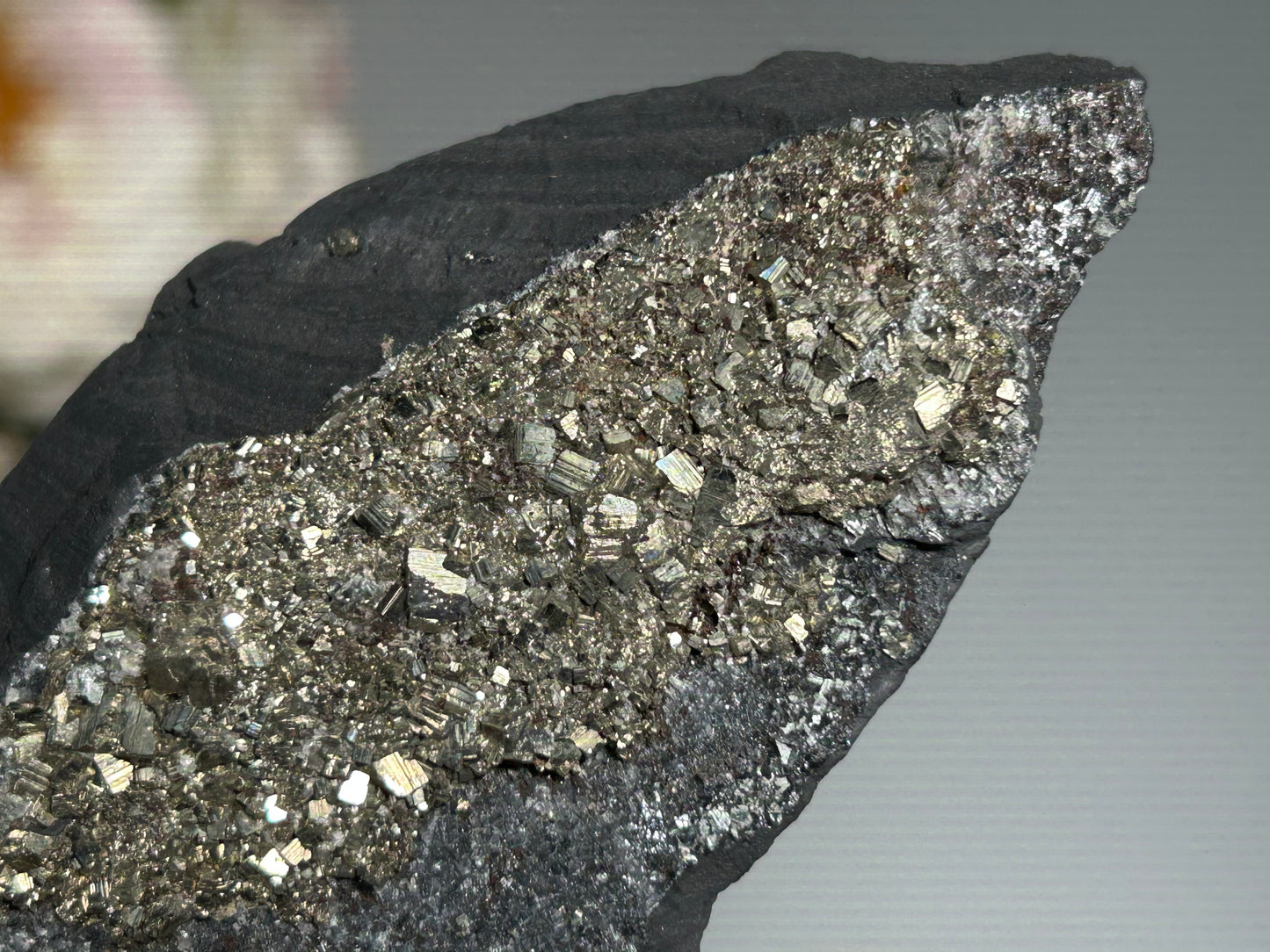 Pyrite on Shungite (4.9", 124mm)