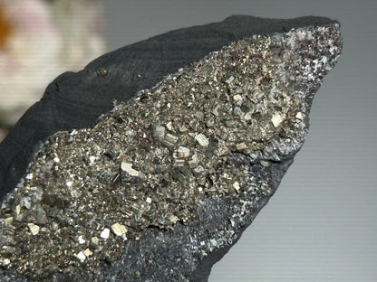 Pyrite on Shungite (4.9", 124mm)