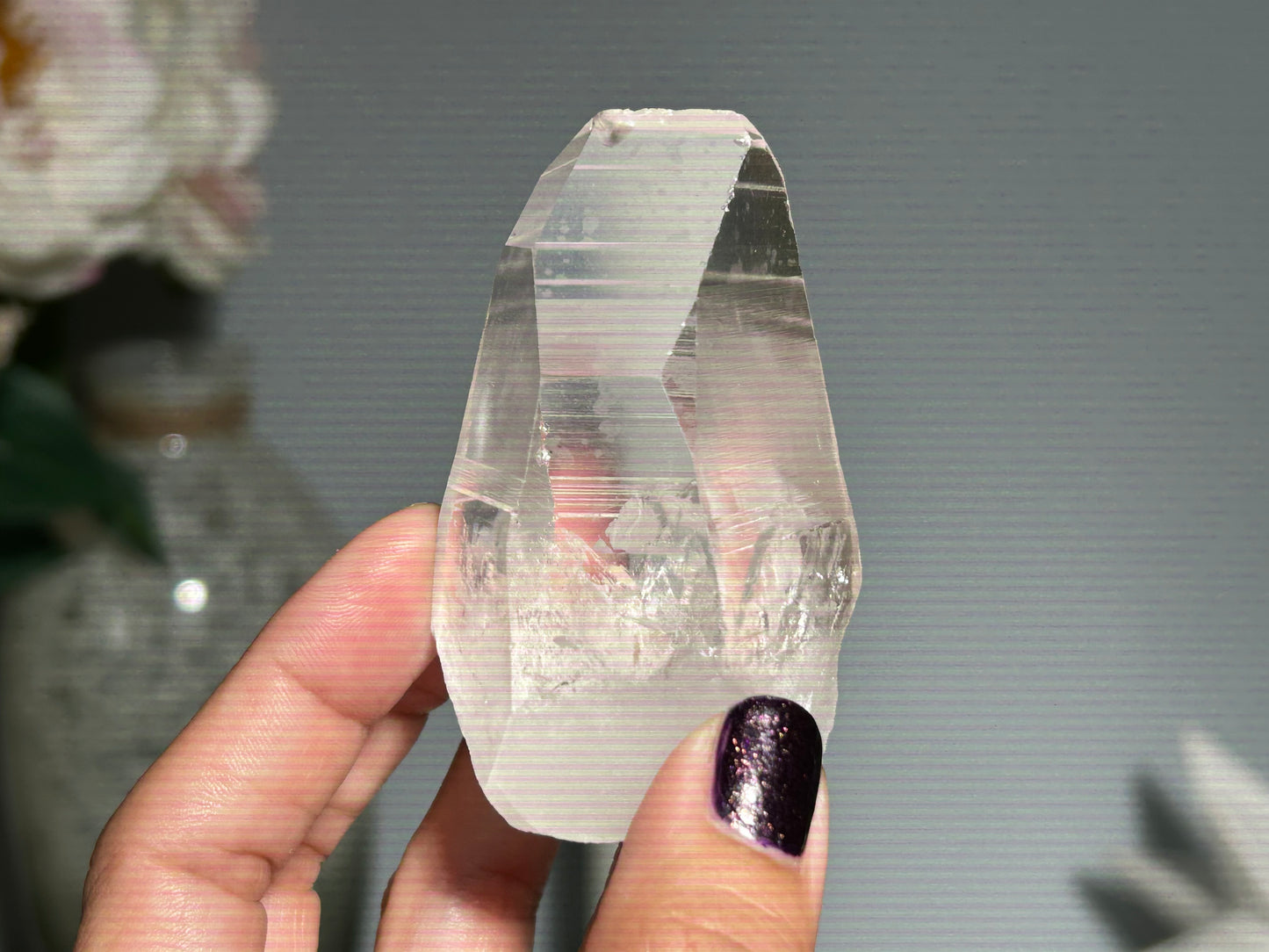Lemurian Seed (2.75”, 70mm)
