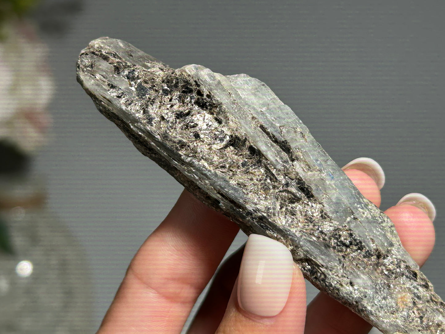 Blue Kyanite with Silver Sheen (4", 102mm)