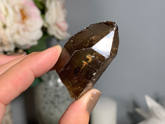 Congo Smoky Citrine Point (2", 50mm)