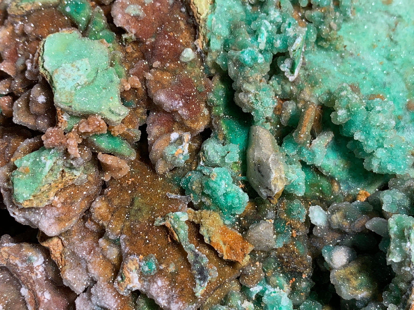 Druzy Chrysoprase (6.8", 174mm)