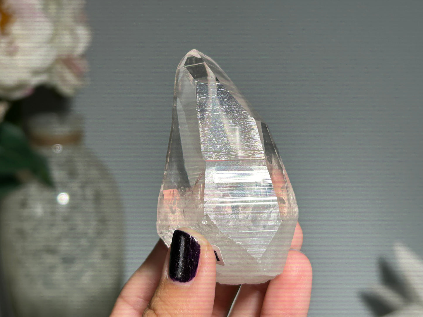 Lemurian Seed (2.75”, 70mm)