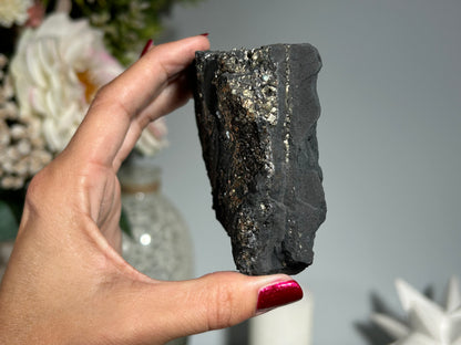 Pyrite on Shungite (3", 77mm)