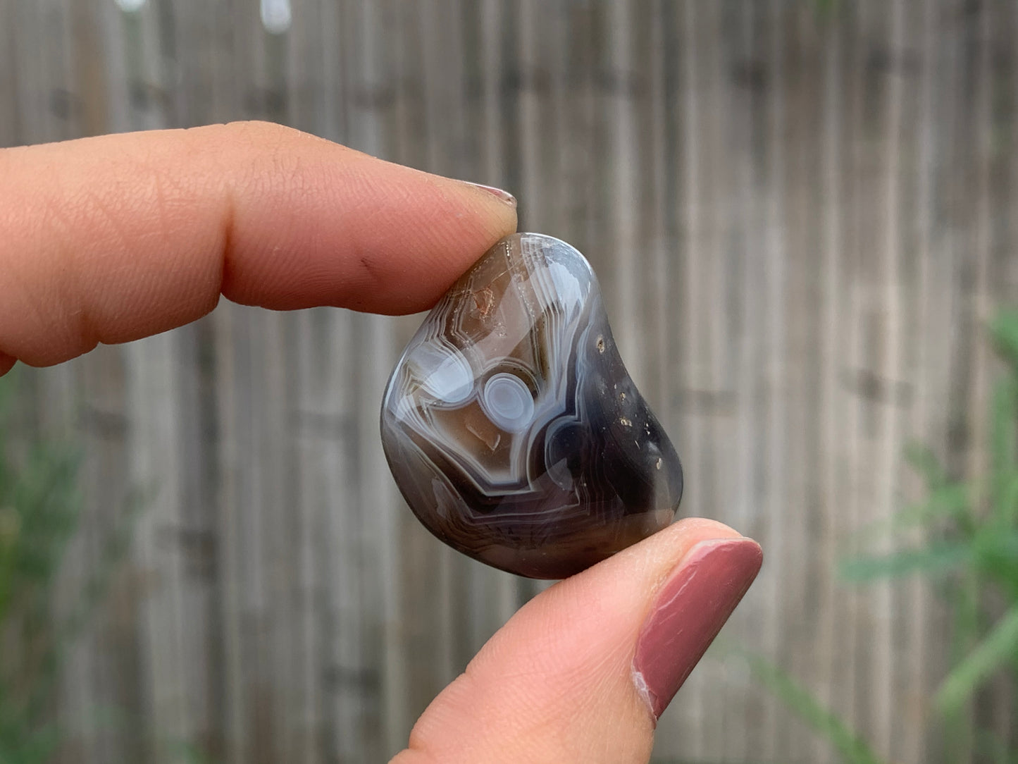 Tumbled Botswana Agate