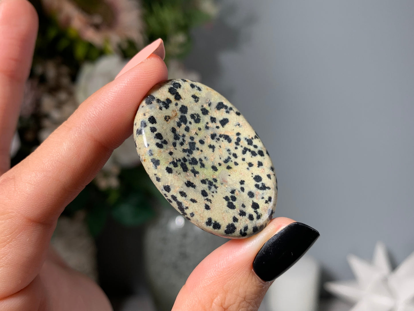 Dalmatian Jasper Thumb Stone