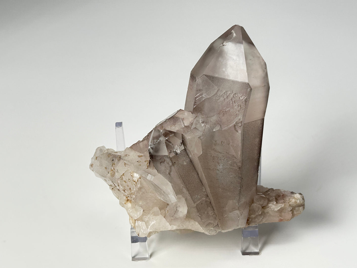 Pink Lemurian Seed (3.7", 94mm)