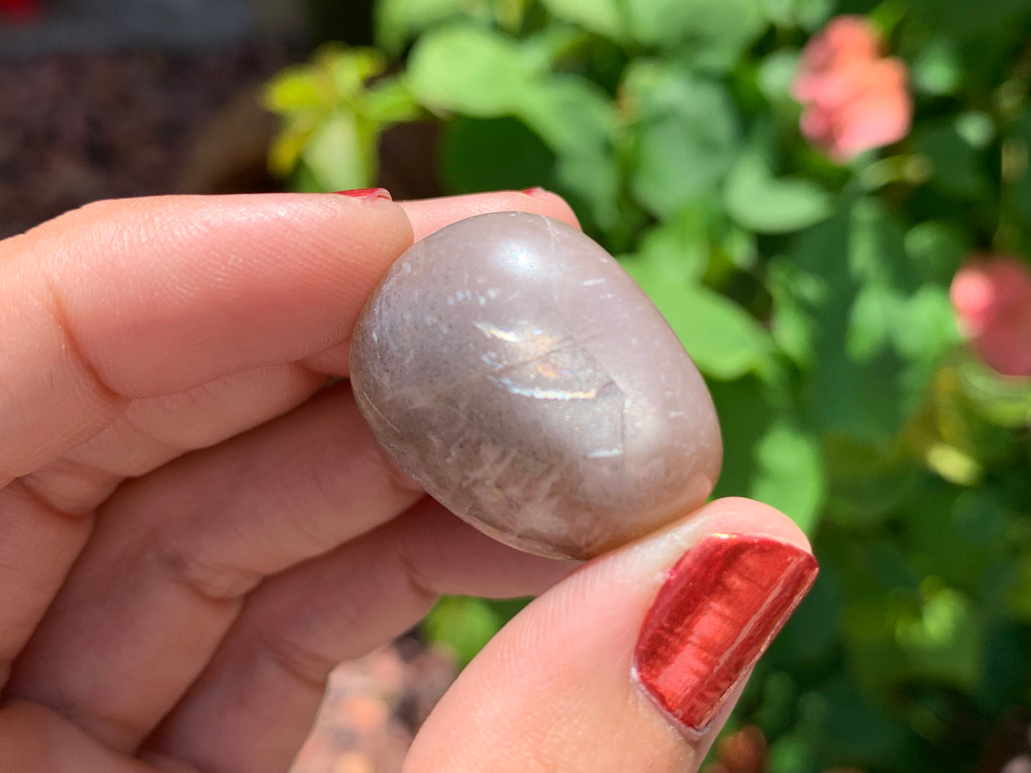 Tumbled Mixed Moonstone