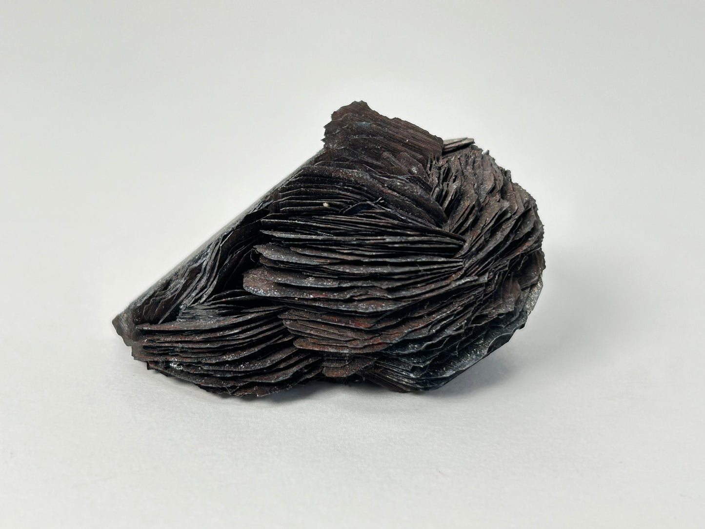 Specularite (1.9", 48mm)
