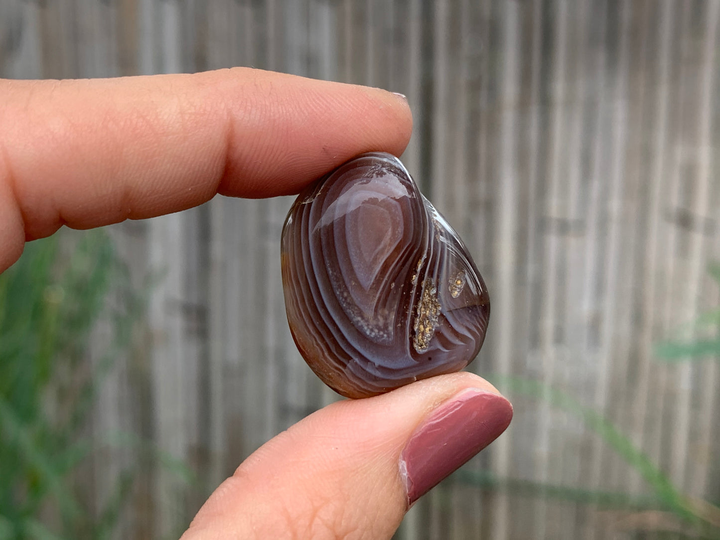 Tumbled Botswana Agate