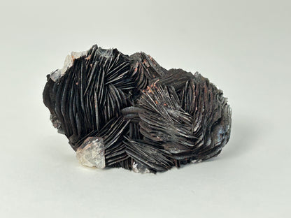Specularite (2.4", 60mm)