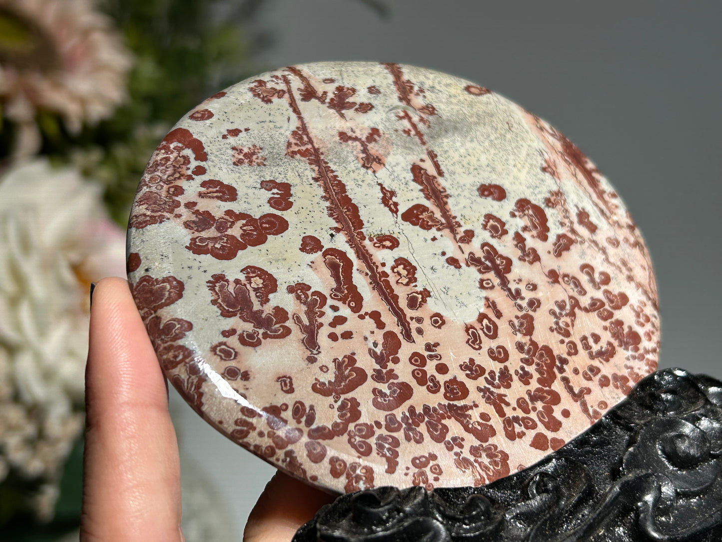 Picture Jasper Slice #245