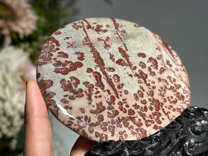 Picture Jasper Slice #245