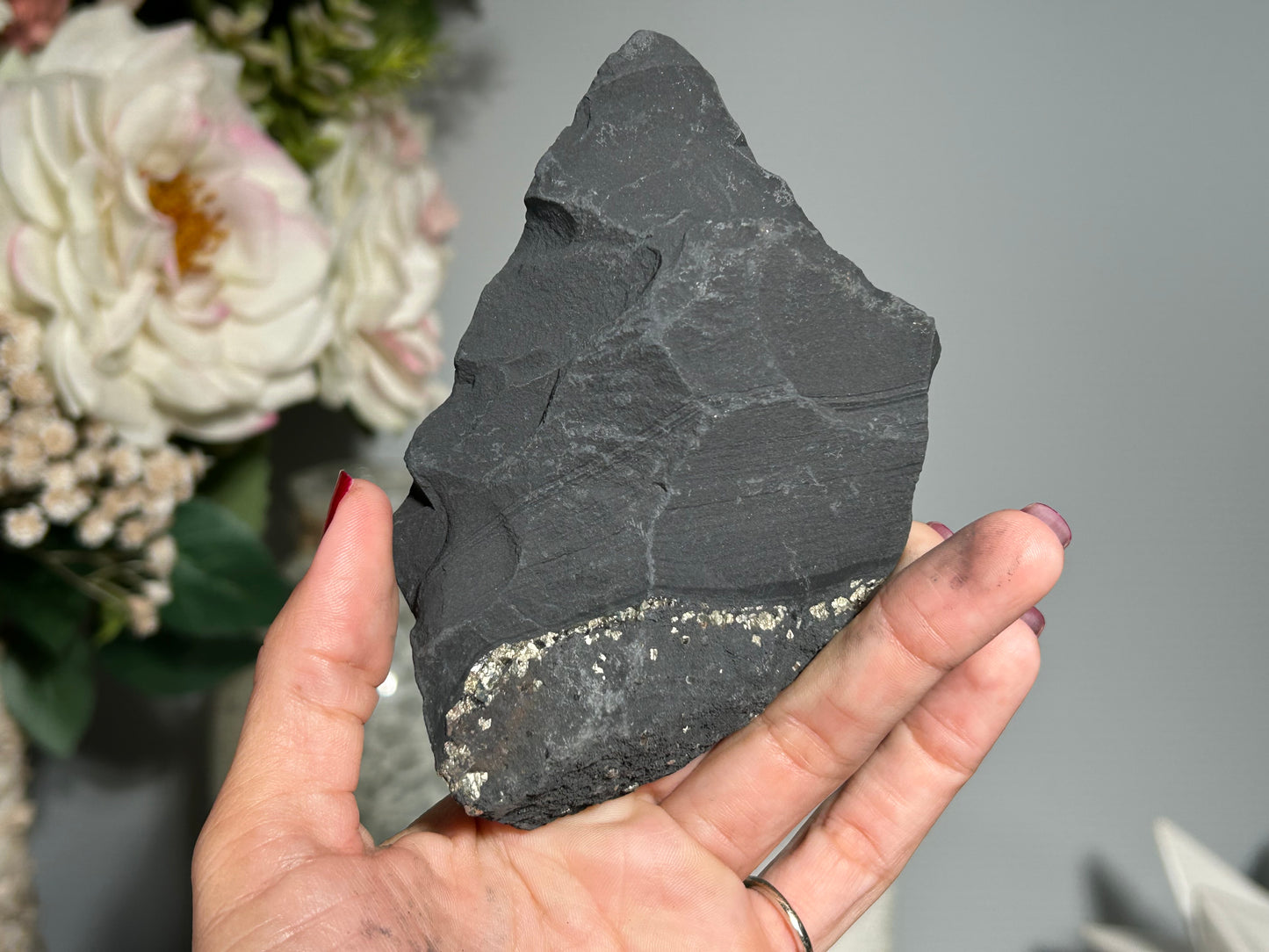 Pyrite on Shungite (4.6", 117mm)
