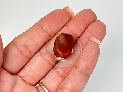 Amphibole with Rutile Gem