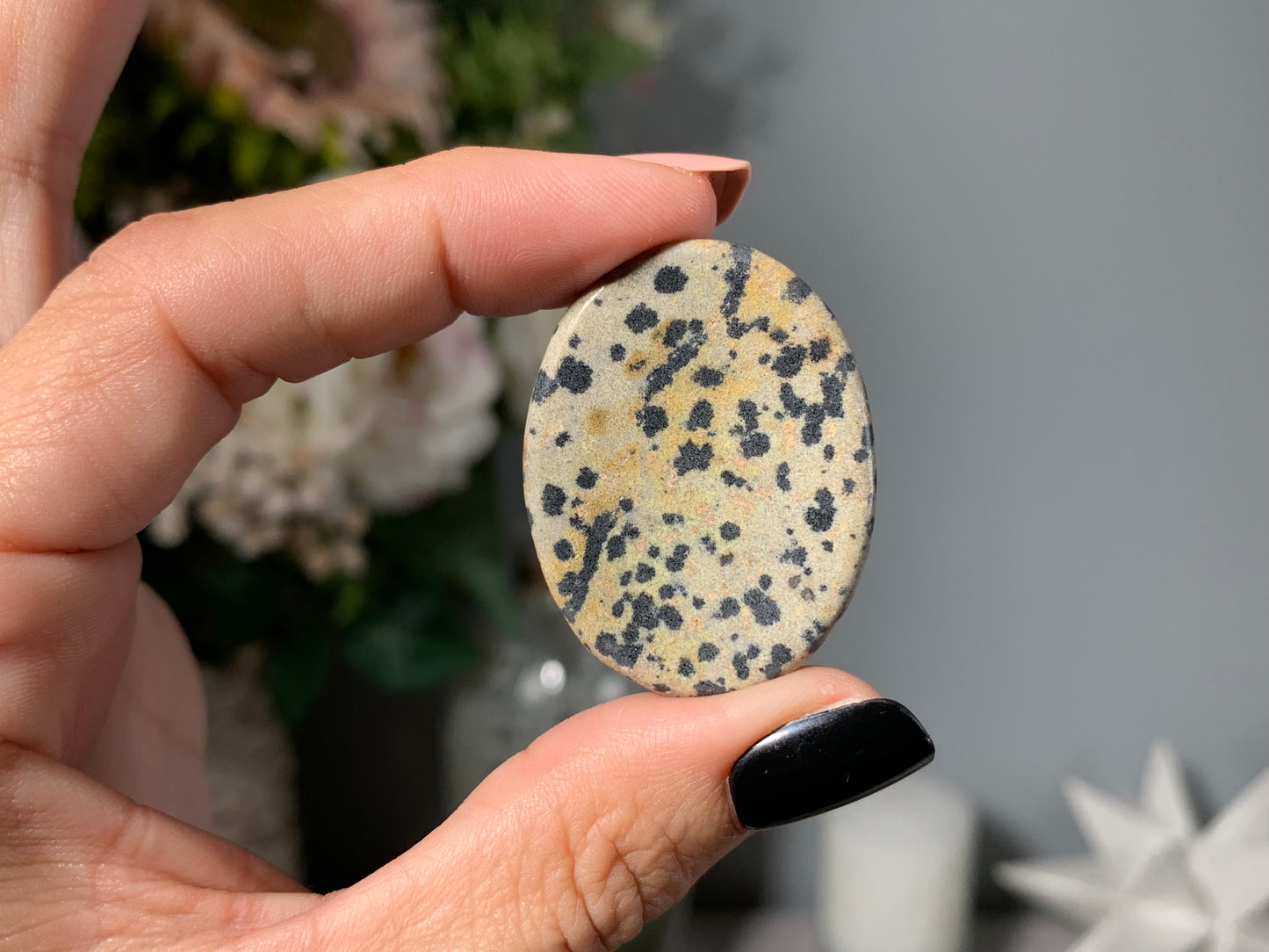 Dalmatian Jasper Thumb Stone