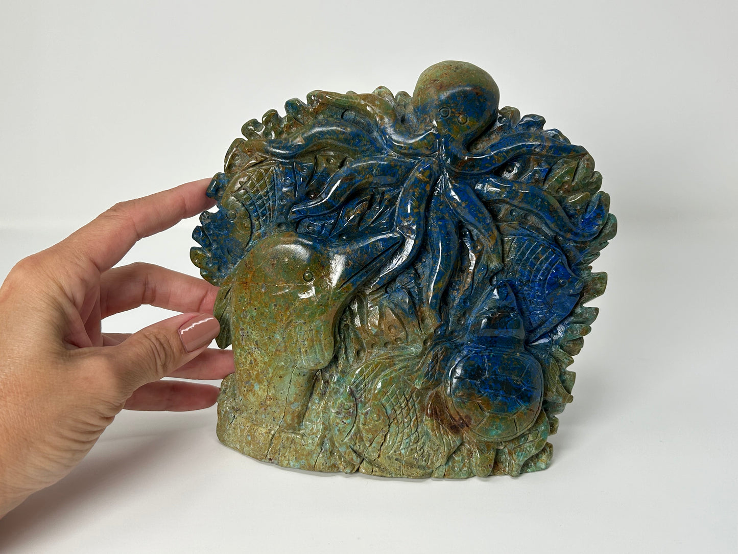 Phoenix Pine Ocean Scenery (6.4", 163mm)