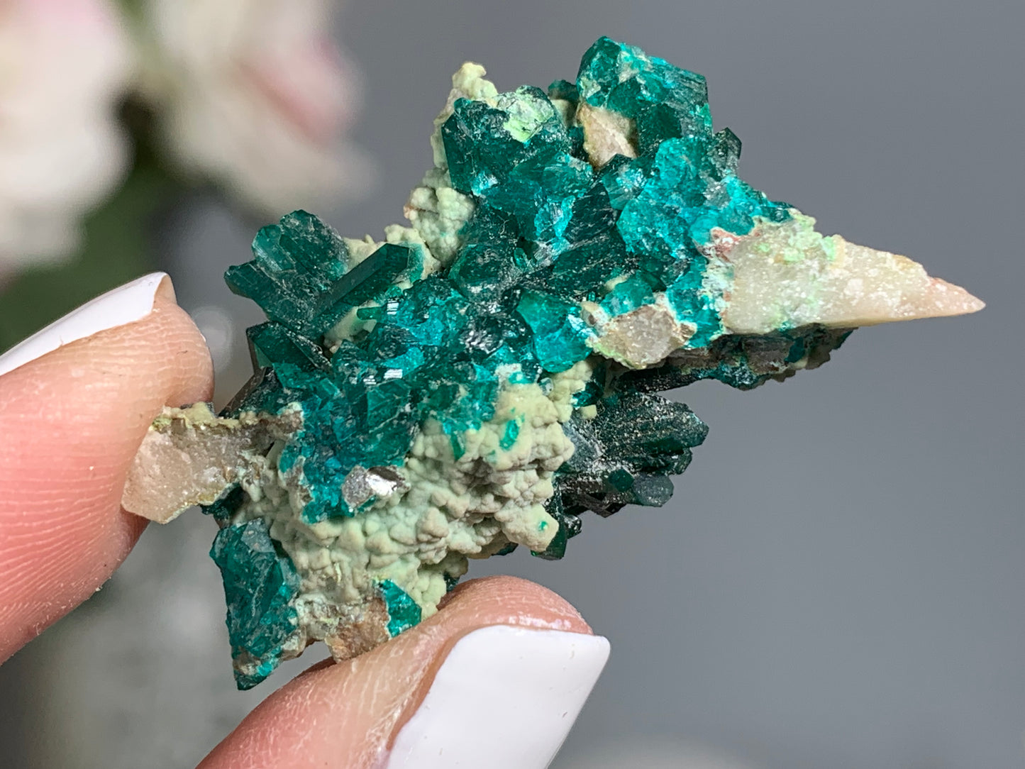 Natural Dioptase (1.4", 35mm)