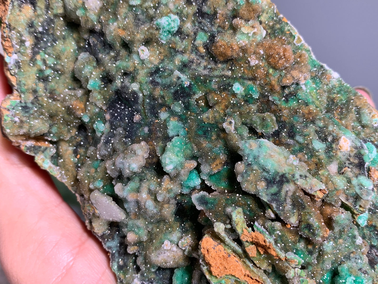 Druzy Chrysoprase (5.75", 146mm)