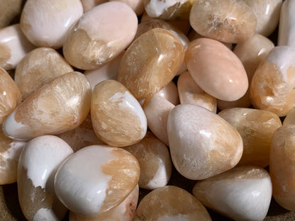 Tumbled Scolecite with Stilbite Large