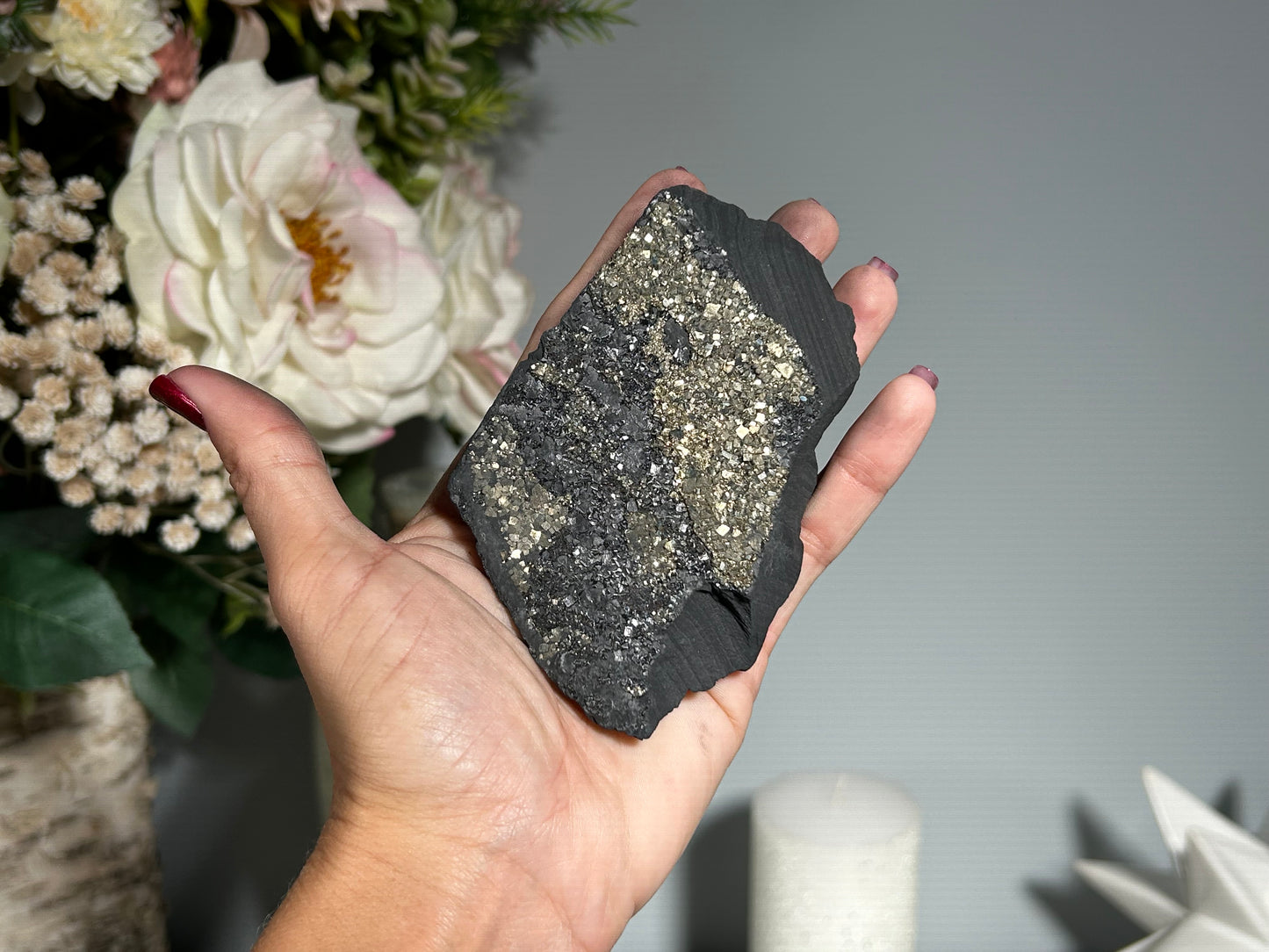 Pyrite on Shungite (4.2", 106mm)