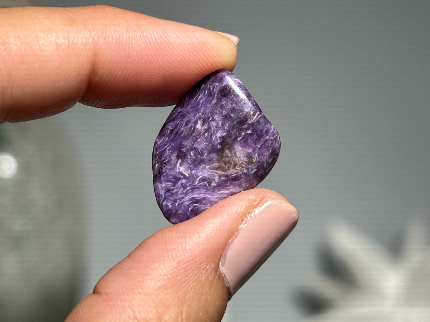 2pc Charoite Chips