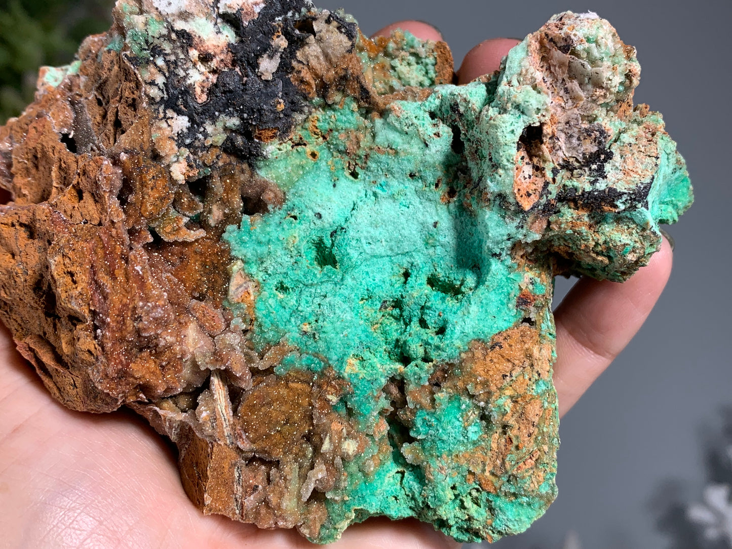 Druzy Chrysoprase (4.25", 108mm)