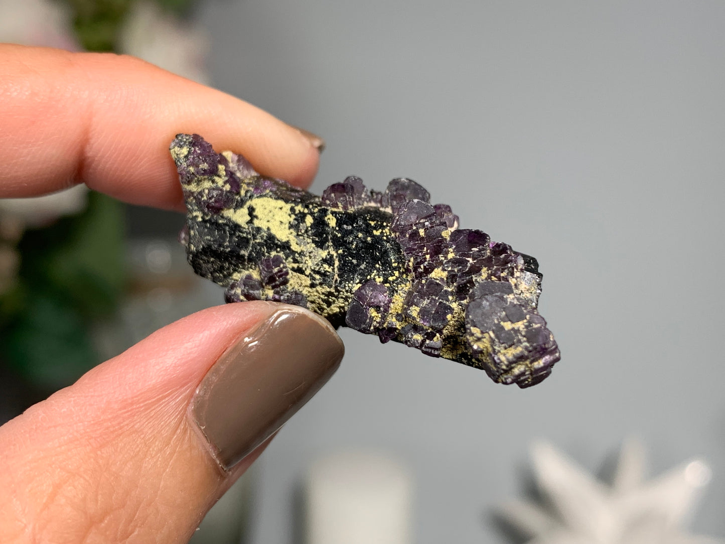 Natural Black Tourmaline with Fluorite Flowers (1.5", 38mm)