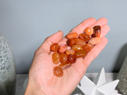 Tumbled Carnelian XS
