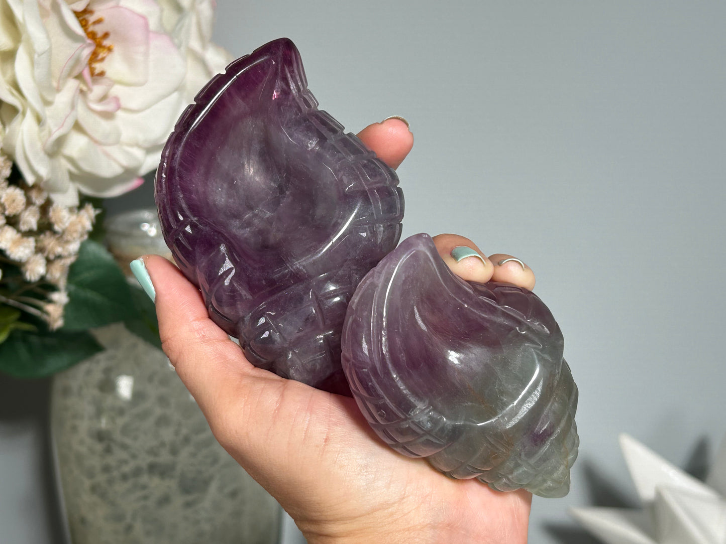 Fluorite Seashell