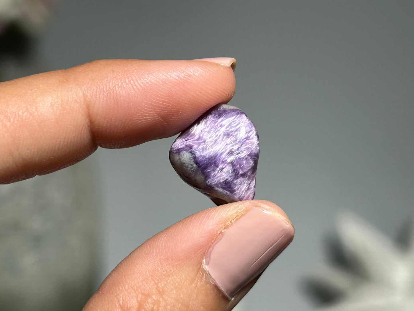 2pc Charoite Chips