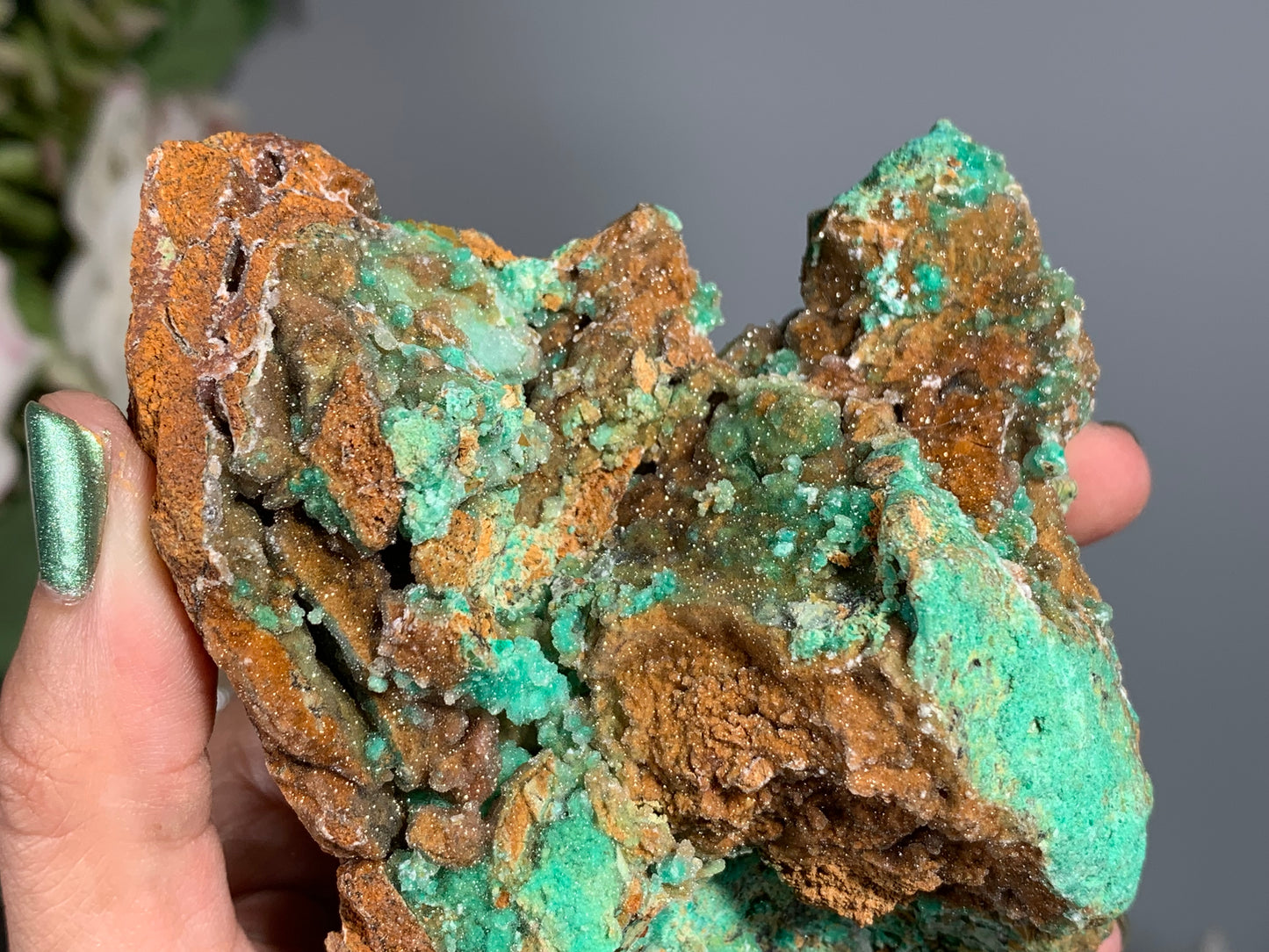 Druzy Chrysoprase (5.2", 132mm)